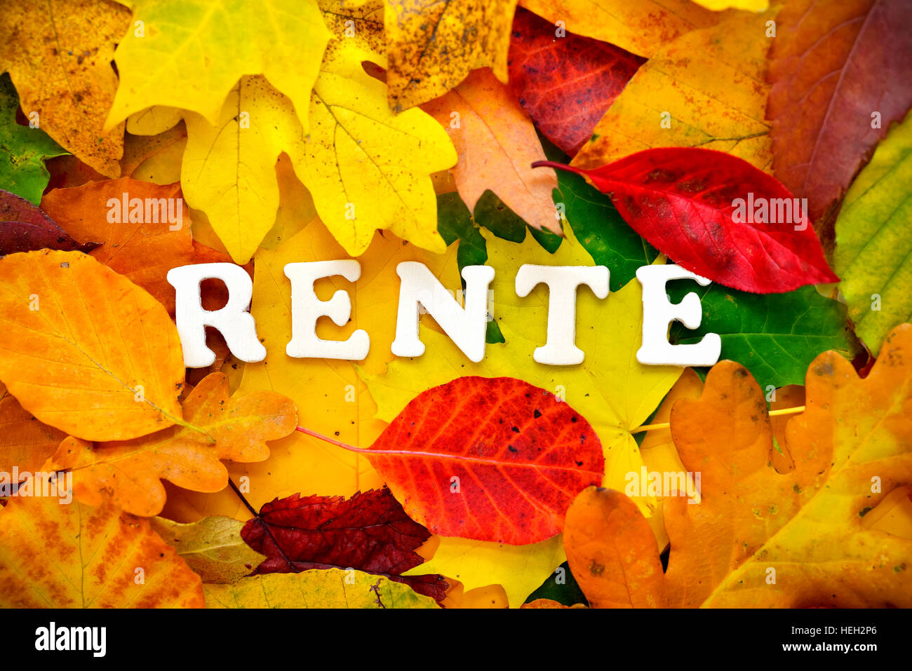 Schriftzug Rente auf Herbstblaettern Stock Photo