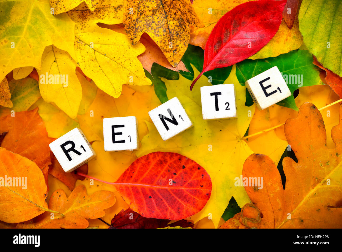 Buchstabenwuerfel bilden den Schriftzug Rente auf Herbstlaub Stock Photo