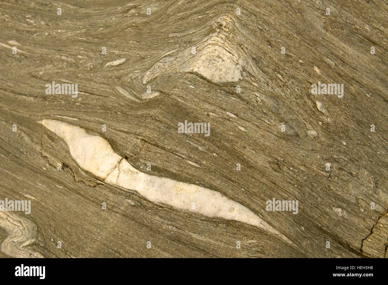 Rough petrified wood textures. Wood turned into stone Stock Photo Alamy