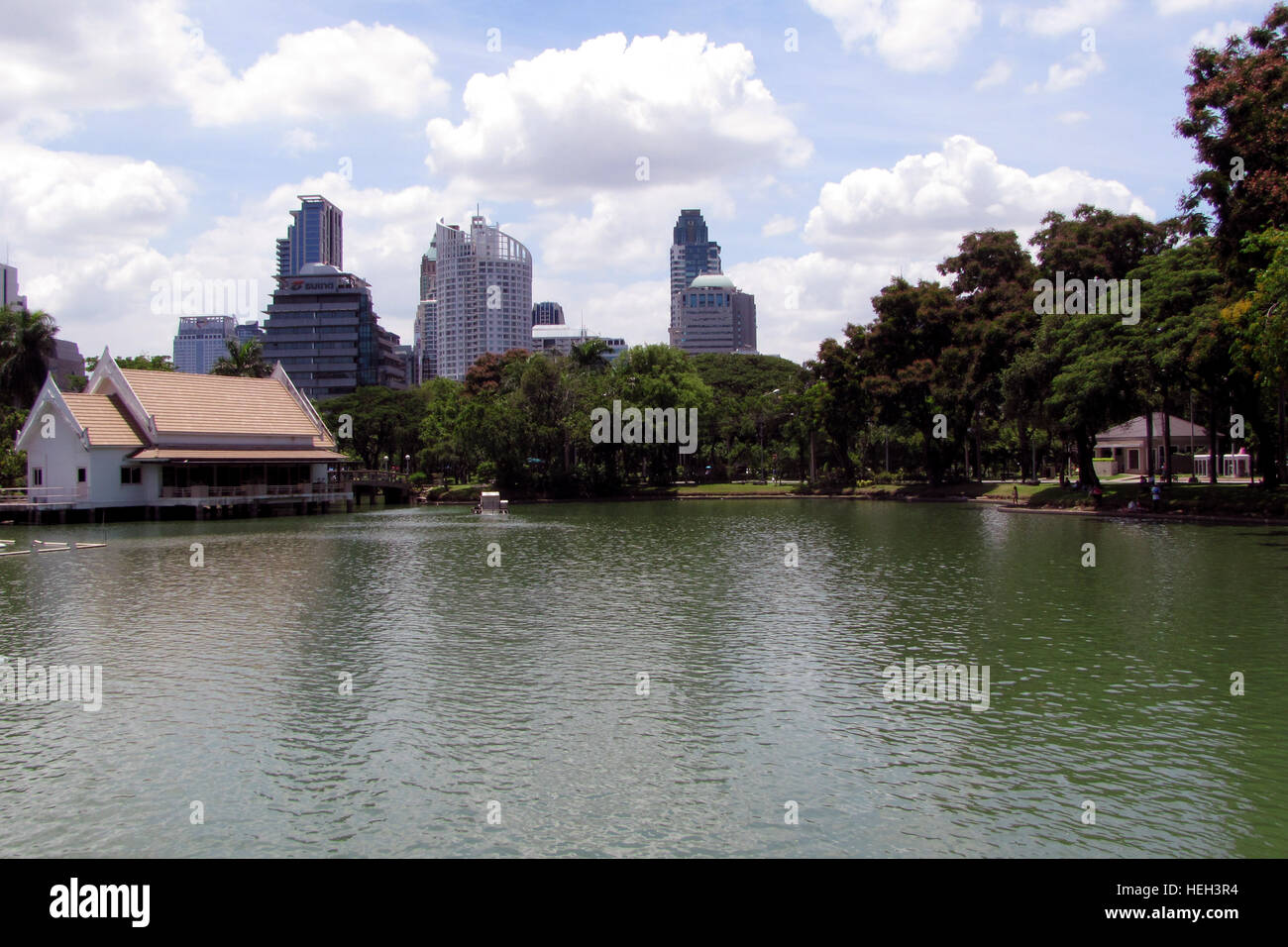 Pond in Lumpini Park, Bangkok, Thailand Stock Photo