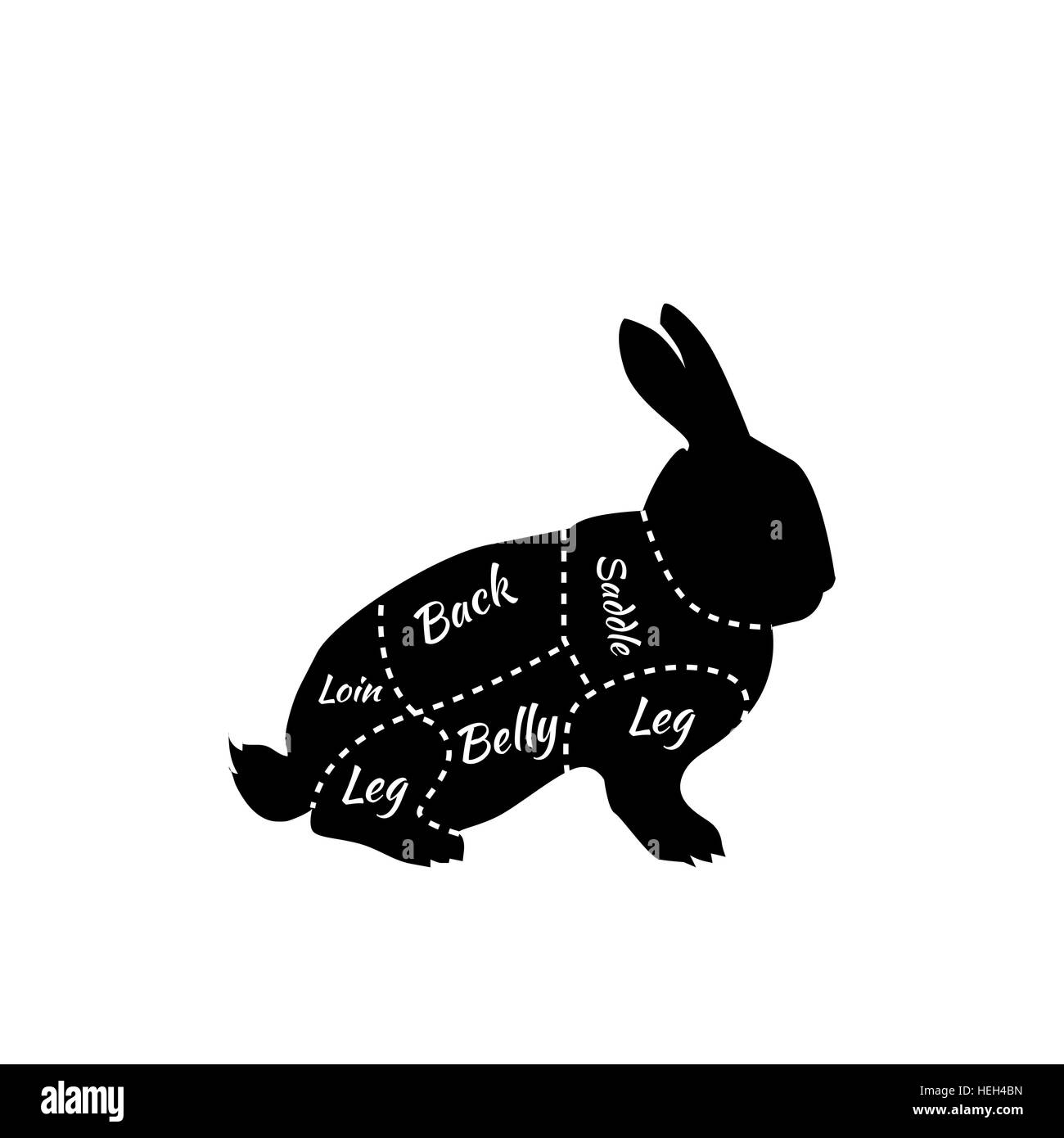 Typographic Rabbit Butcher Cuts Diagram. Vintage diagram guide for rabbit cutting. Vintage typographic rabbit butcher cuts Stock Vector