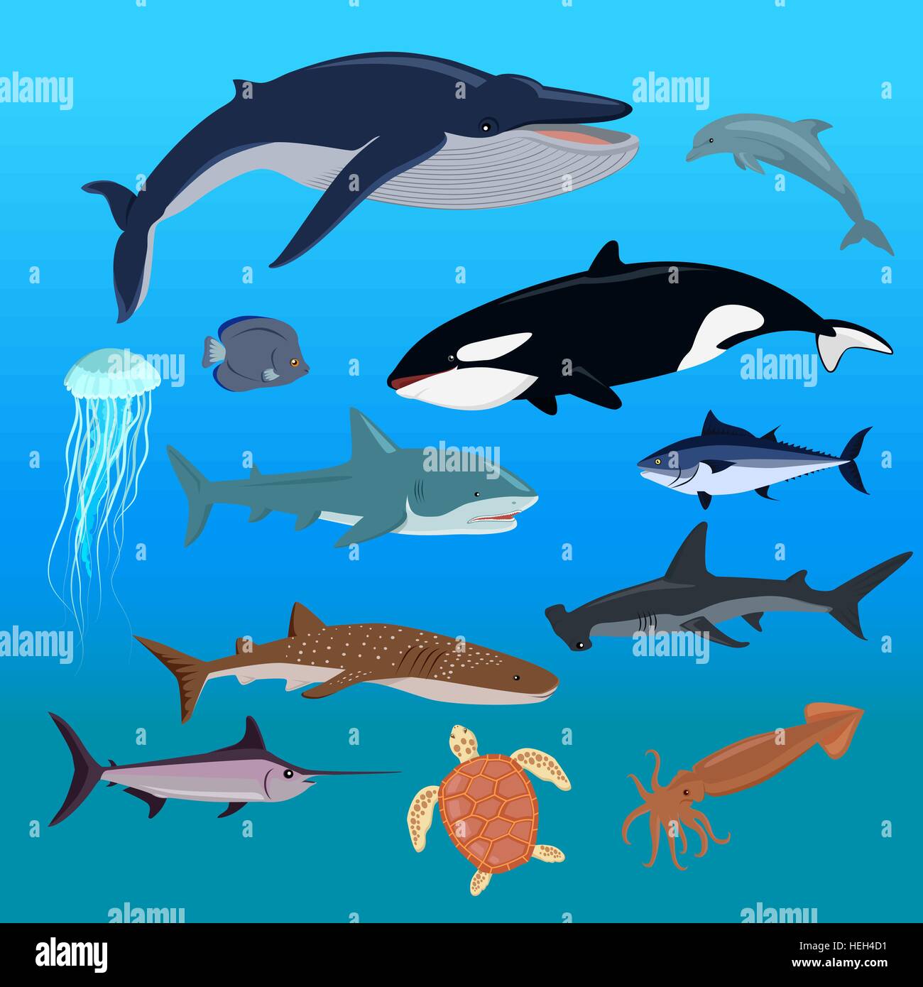 Marine fauna set of aquatic animals. Fauna animal, aquatic fauna, ocean or  sea nature fauna, fish wildlife fauna, underwater Stock Vector Image & Art  - Alamy