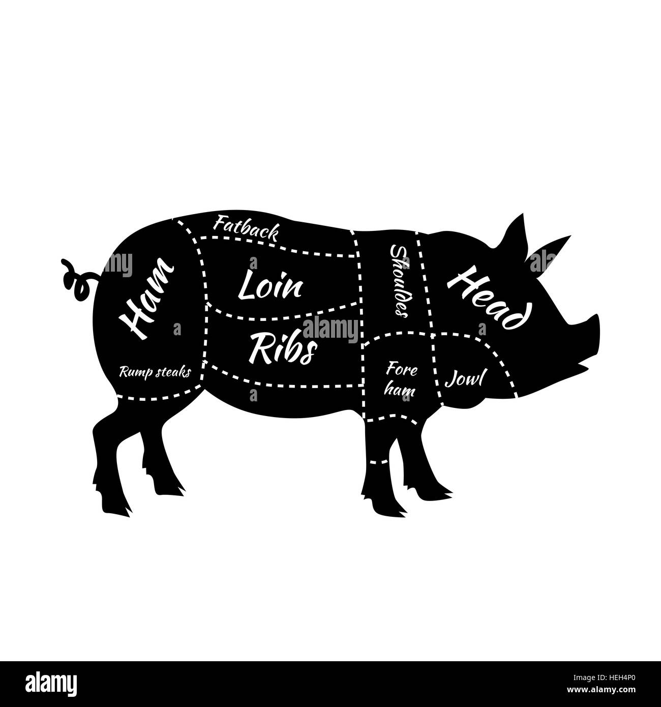 American US Cuts of Pork. Pork or pig cuts. American US cuts of pork. Barbecue vector illustration. Pork meat cuts. Butcher Stock Vector