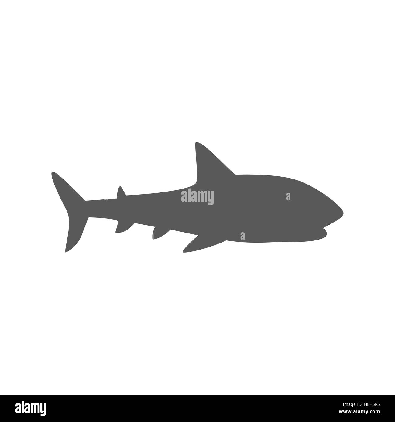 Marine Predator Shark Design Flat. Marine predator shark design flat ...