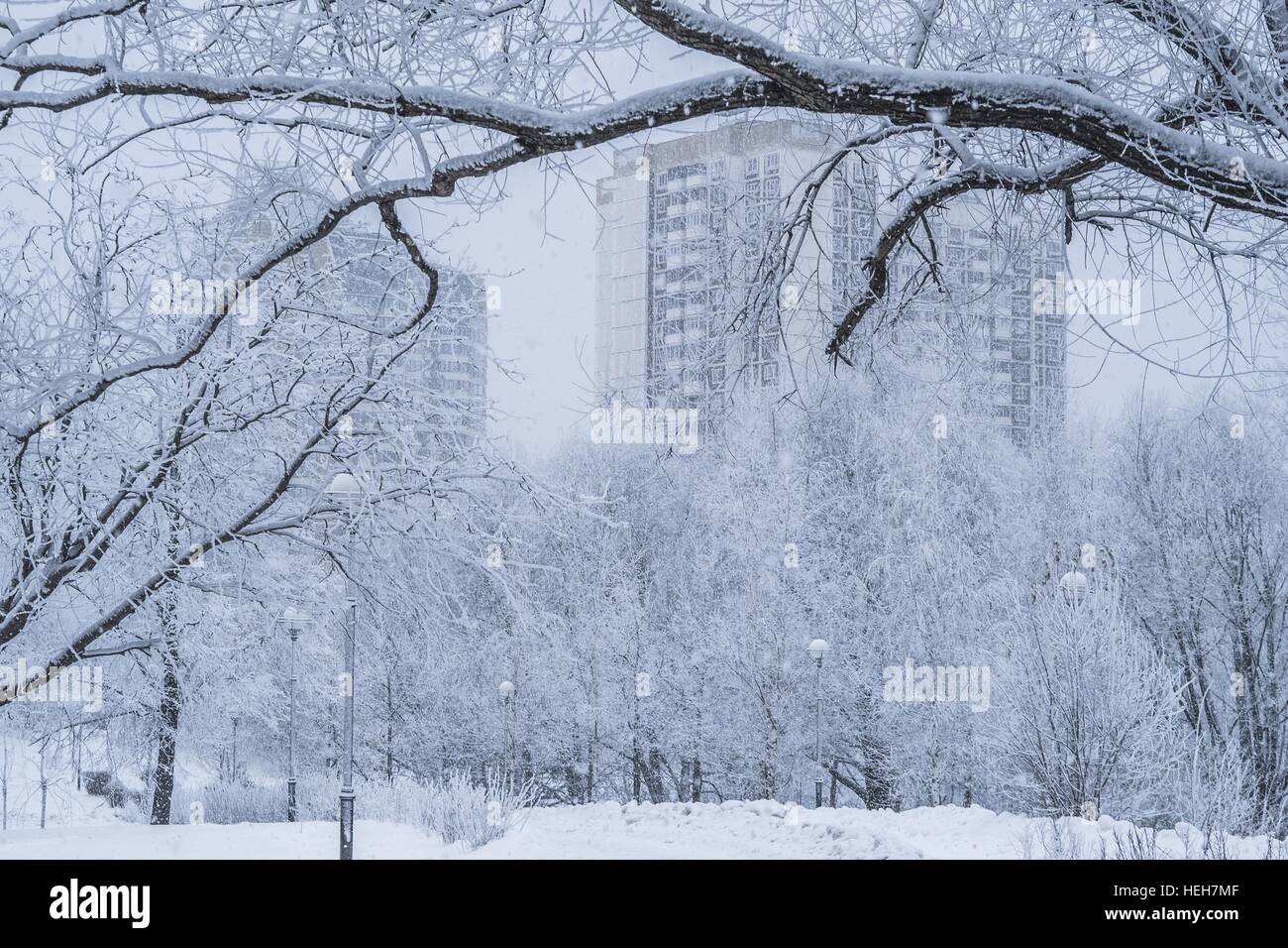 View of winter Moscow, Russia. Stock Photo