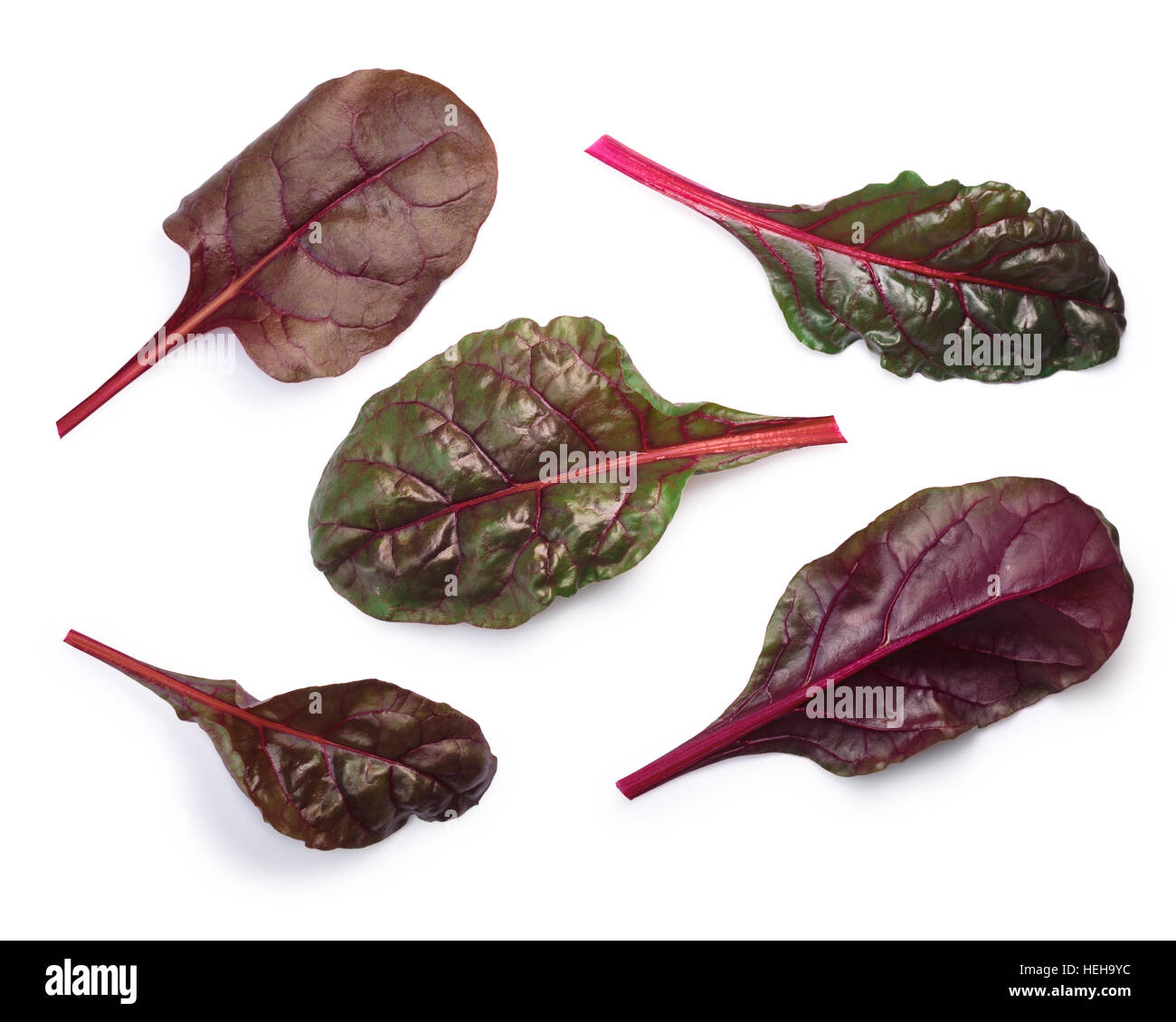 Top view of Leaves of Swiss chard or Mangold (Beta vulgaris subsp. Cicla-Group). Clipping paths, shadows separated Stock Photo