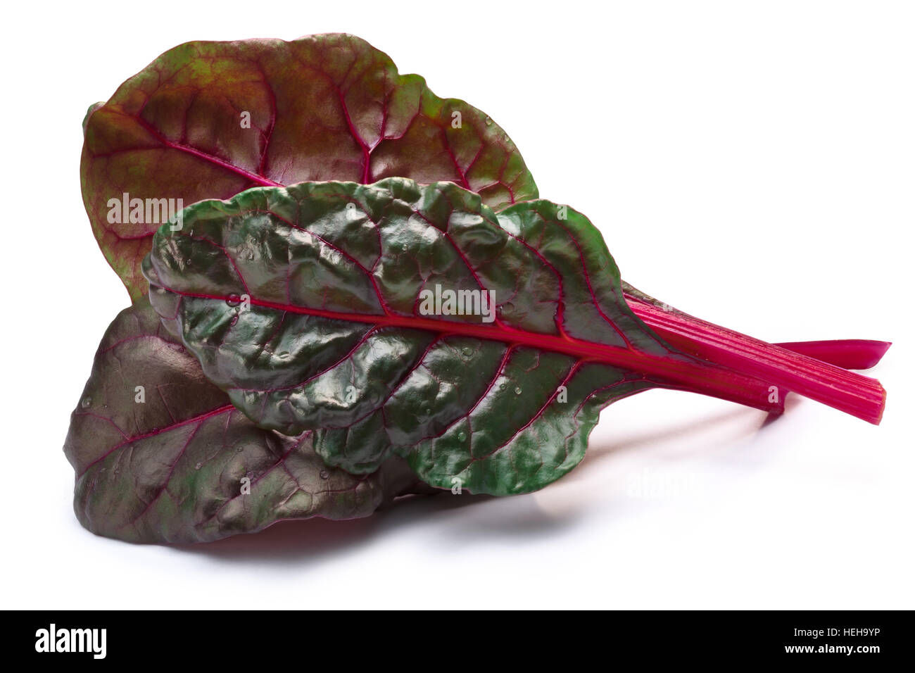 Leaves of Swiss chard or Mangold (Beta vulgaris subsp. Cicla-Group). Clipping paths, shadows separated Stock Photo