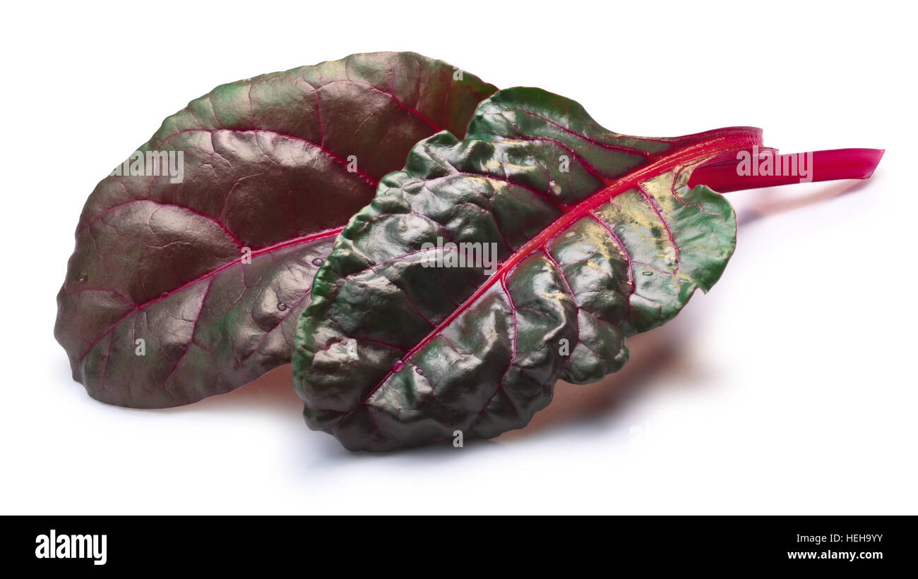 Leaves of Swiss chard or Mangold (Beta vulgaris subsp. Cicla-Group). Clipping paths, shadows separated Stock Photo
