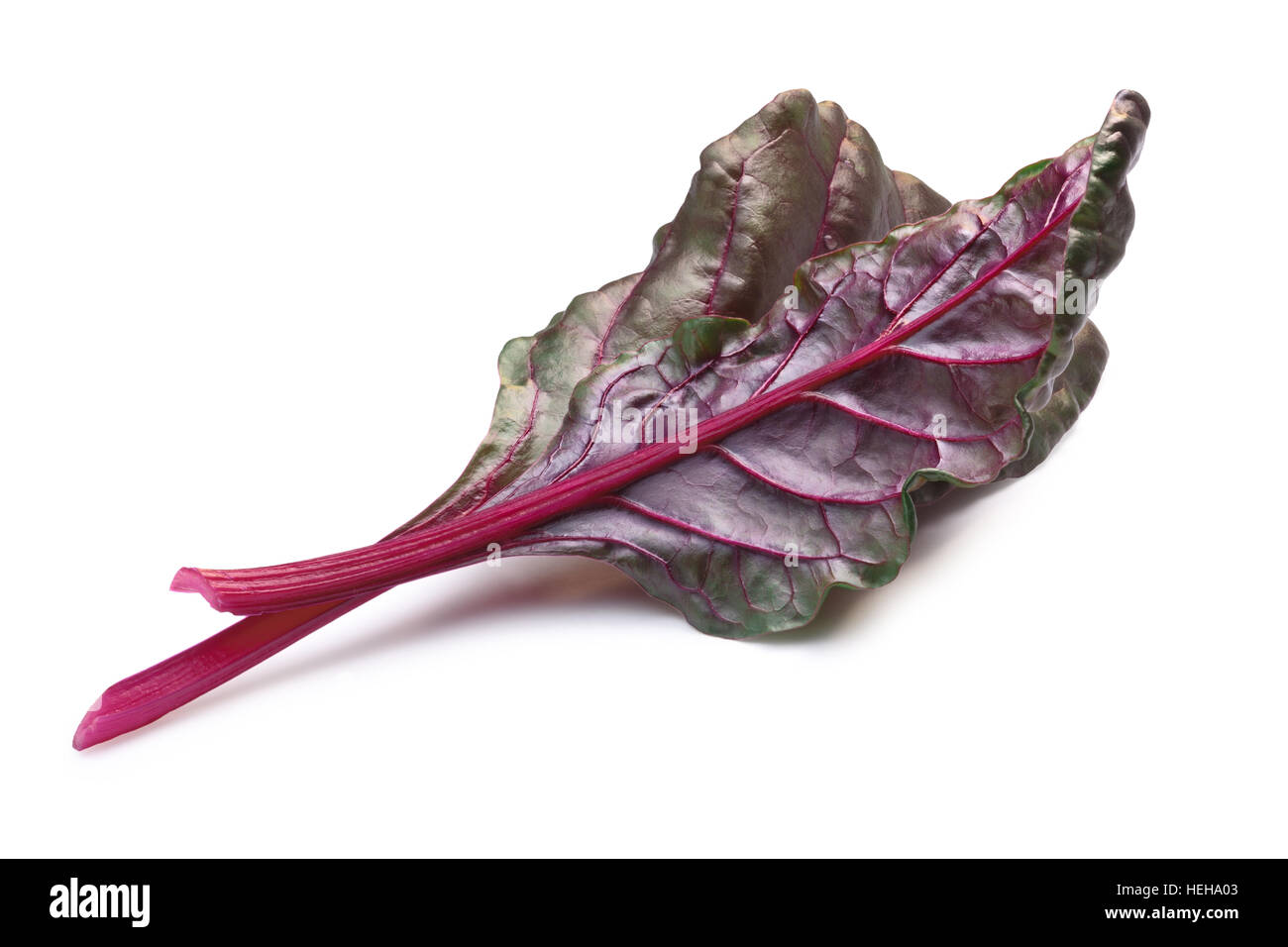 Overturned leaves of Swiss chard or Mangold (Beta vulgaris subsp. Cicla-Group). Clipping paths, shadows separated Stock Photo