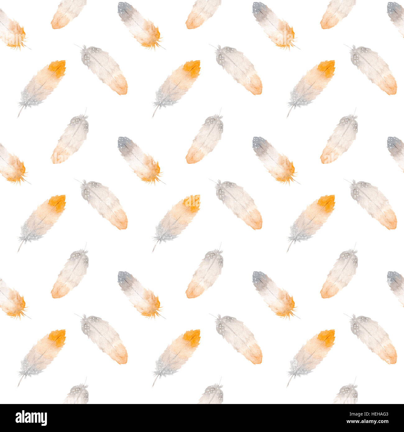 Watercolor seamless feather pattern on white background Stock Photo - Alamy