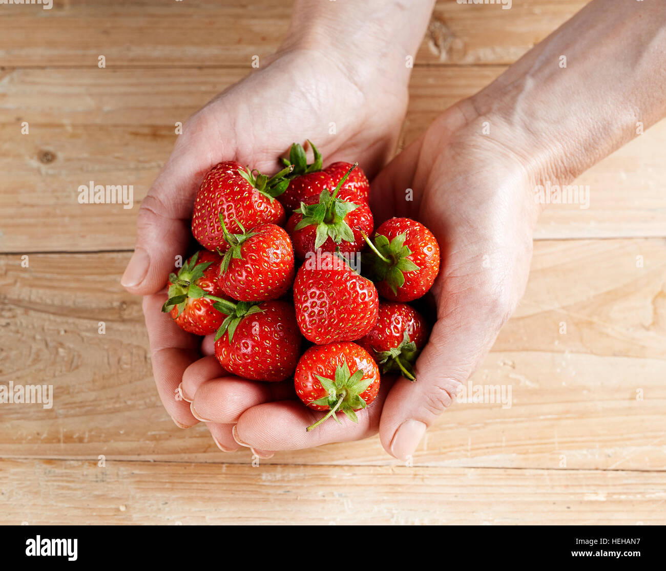 cupped hands holding strawberries fruit red portion stalks fresh picked white skin pale wooden table top abundant offering giving Strawberry Fragaria Stock Photo
