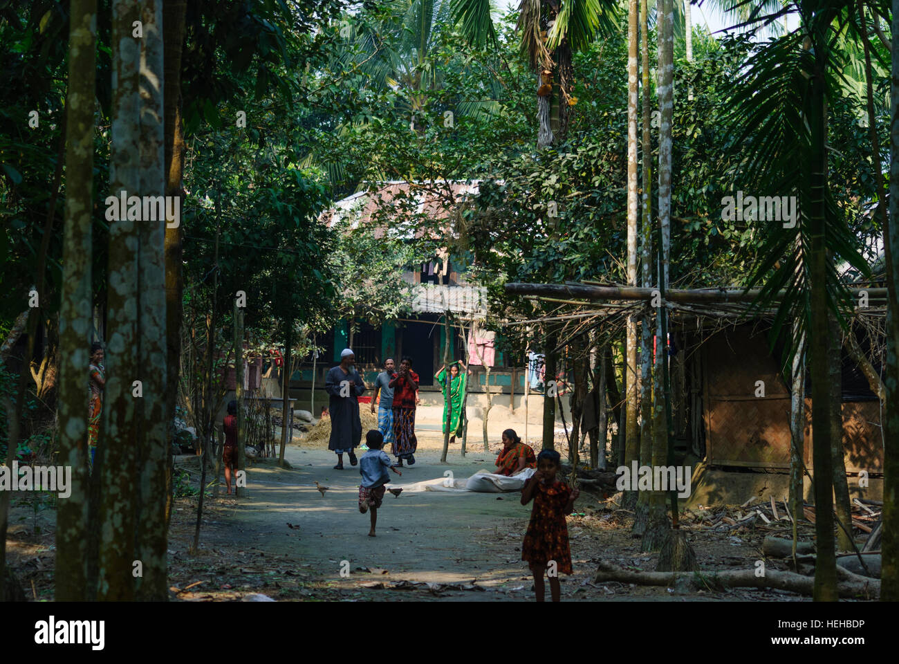 Madhabpasa: Village house, Barisal Division, Bangladesh Stock Photo