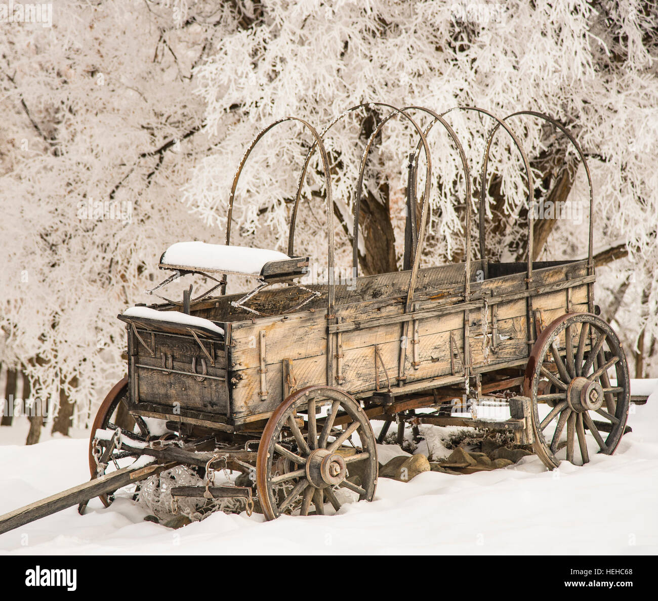 Historic Farewell Bend State Recreation site in winter. Conestoga Wagon surrounded by Hoar Frost Trees. Oregon Stock Photo
