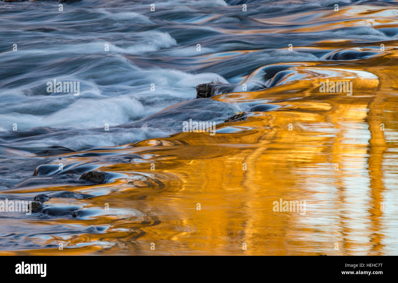 Autumn colors reflecting in the Boise River in the Fall, Boise, Idaho, USA Stock Photo