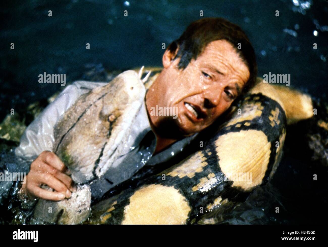 Snake Fighting High Resolution Stock Photography and Images Alamy