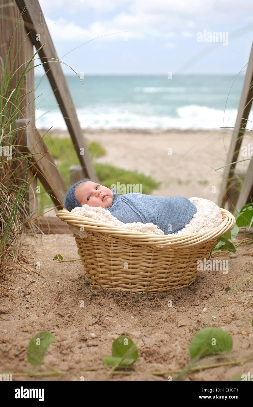 An alert, three week old, newborn, baby boy swaddled in a blue wrap and