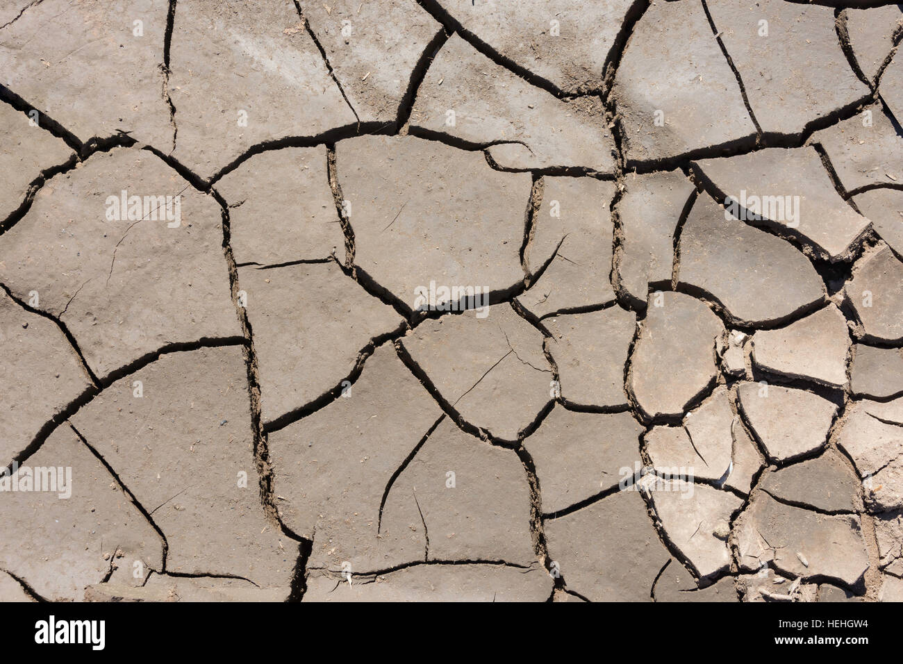 Dry, cracked mud in field, Burnham Overy Staithe, Norfolk, England, United Kingdom Stock Photo