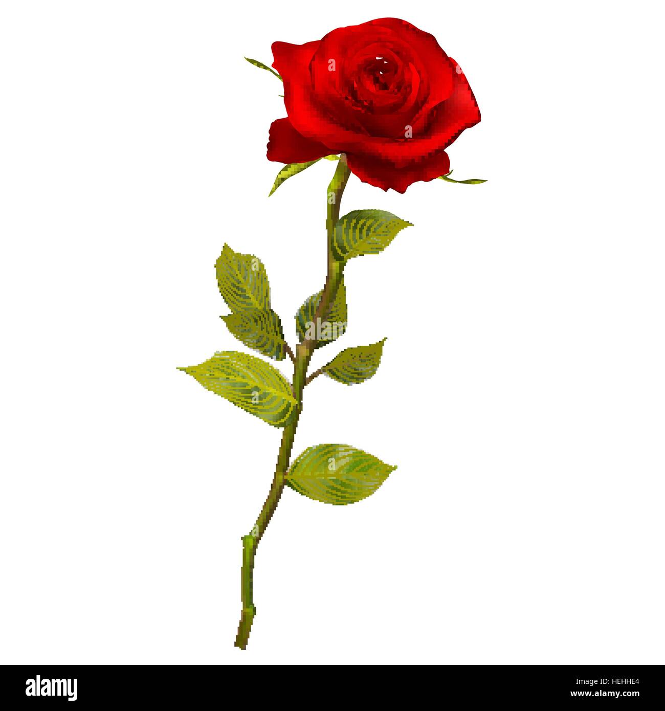 Red rose Stock Vector Images Alamy