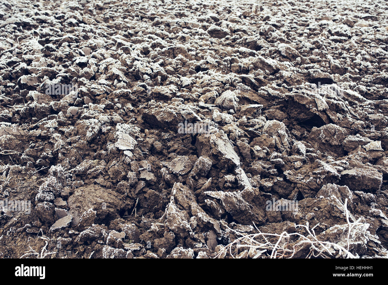 Frozen plowed agricultural field covered with frost in early winter morning Stock Photo