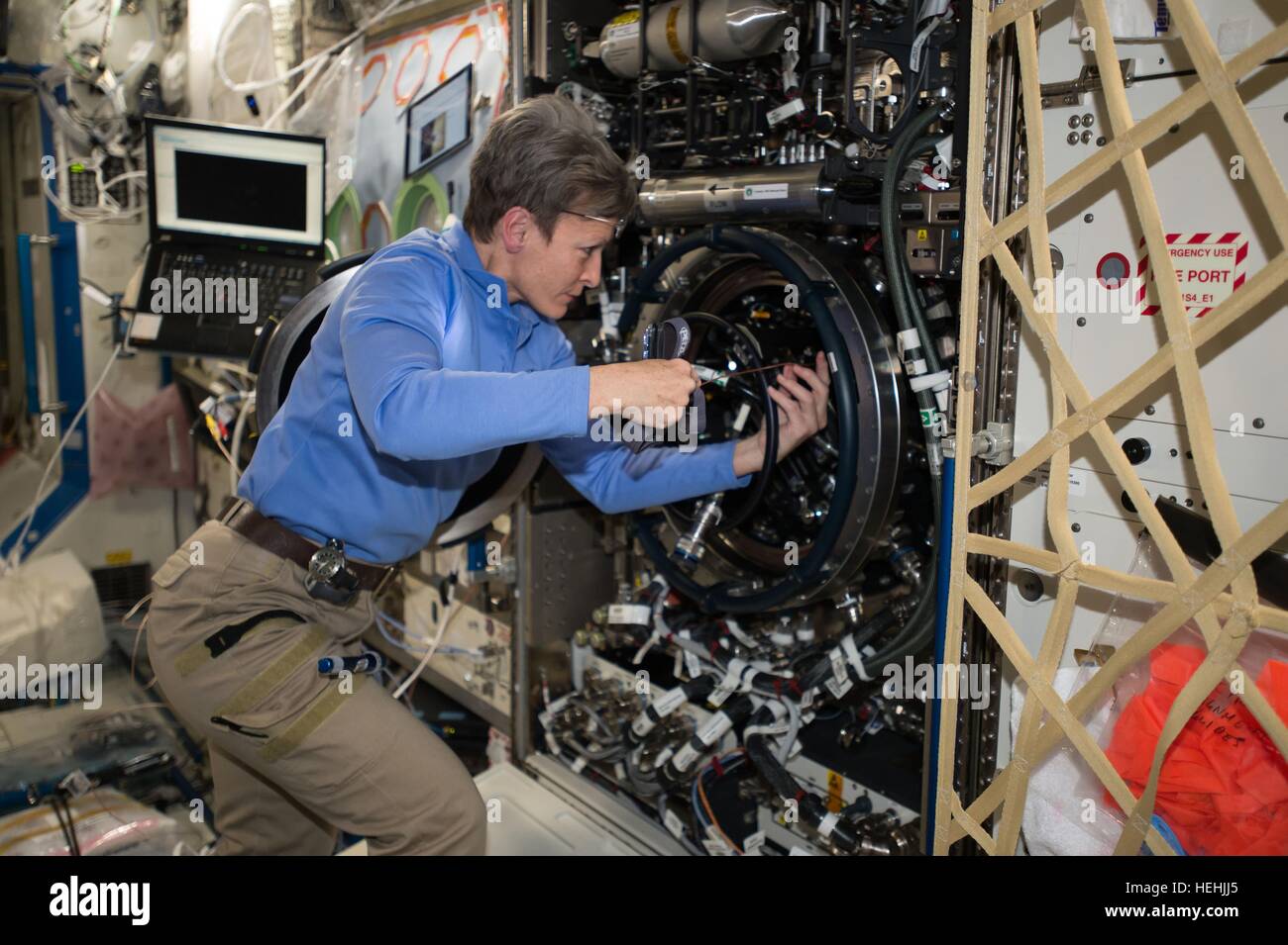 NASA Expedition 50 prime crew member astronaut Peggy Whitson troubleshoots the Combustion Integrated Rack aboard the International Space Station December 2, 2016 in Earth orbit. Stock Photo