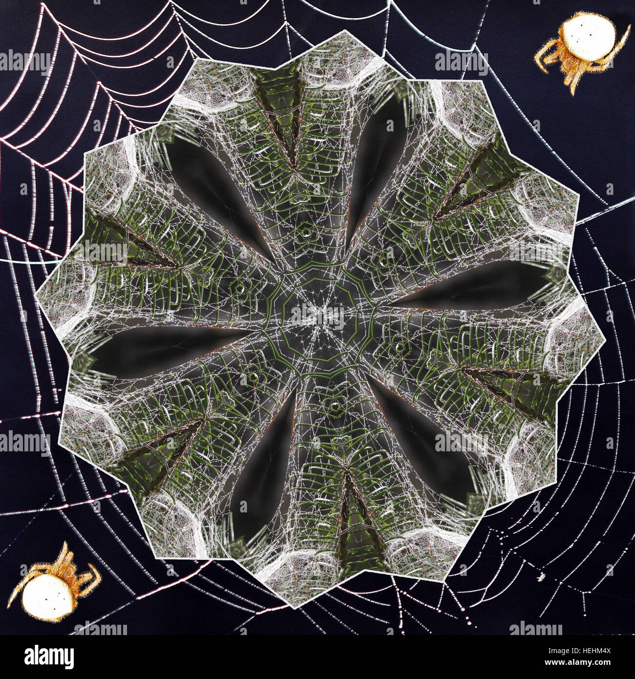 Kaleidoscope made from spider webs Stock Photo