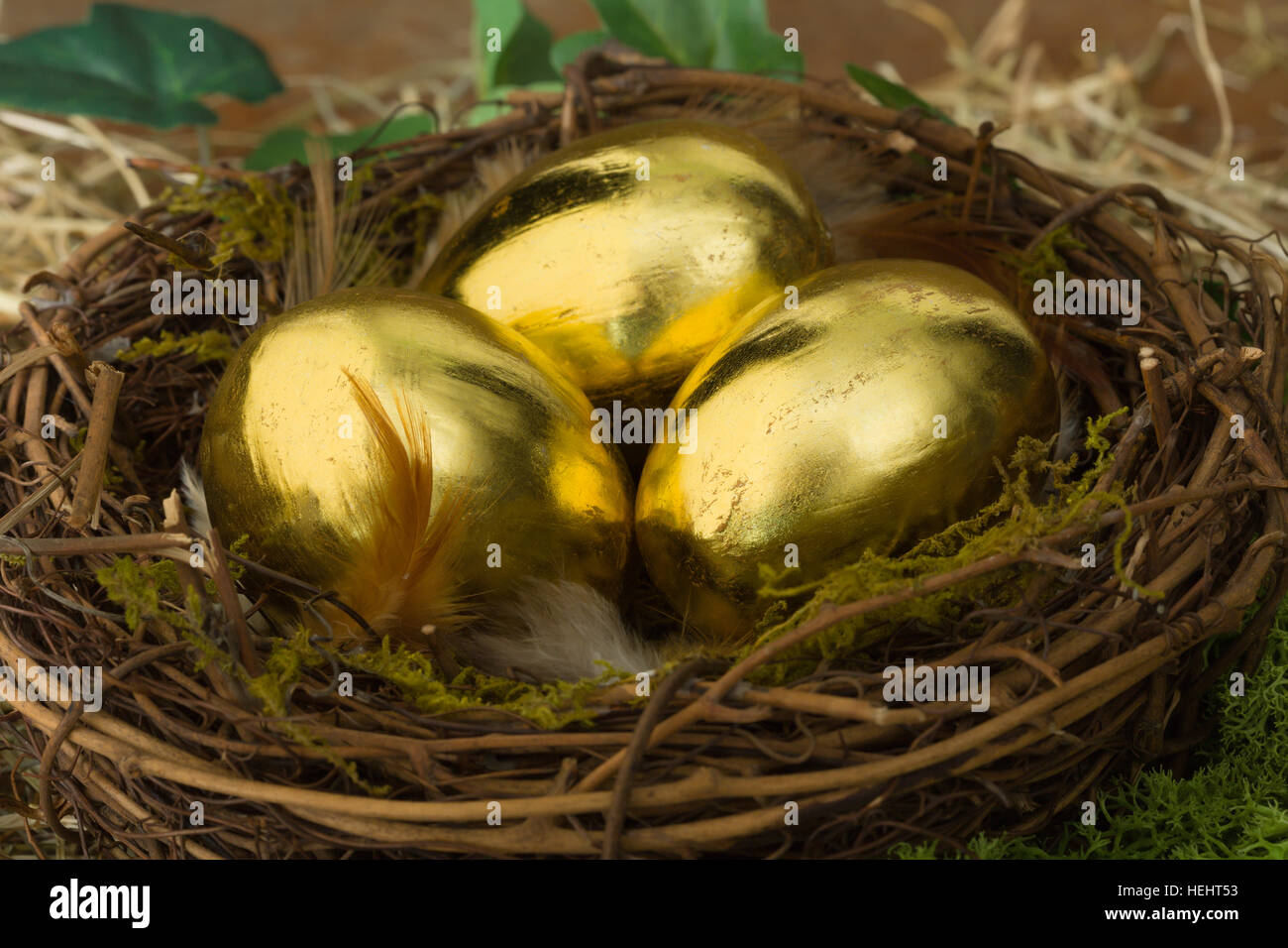 Golden Egg Nest Stock Illustrations, Cliparts and Royalty Free Golden Egg  Nest Vectors