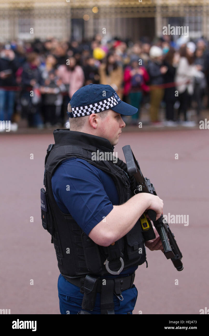 Armed police provide security during the Changing of the Guard outside