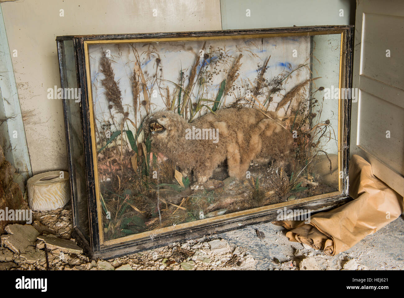 The remains of a stuffed fictitious creature (made from several animals