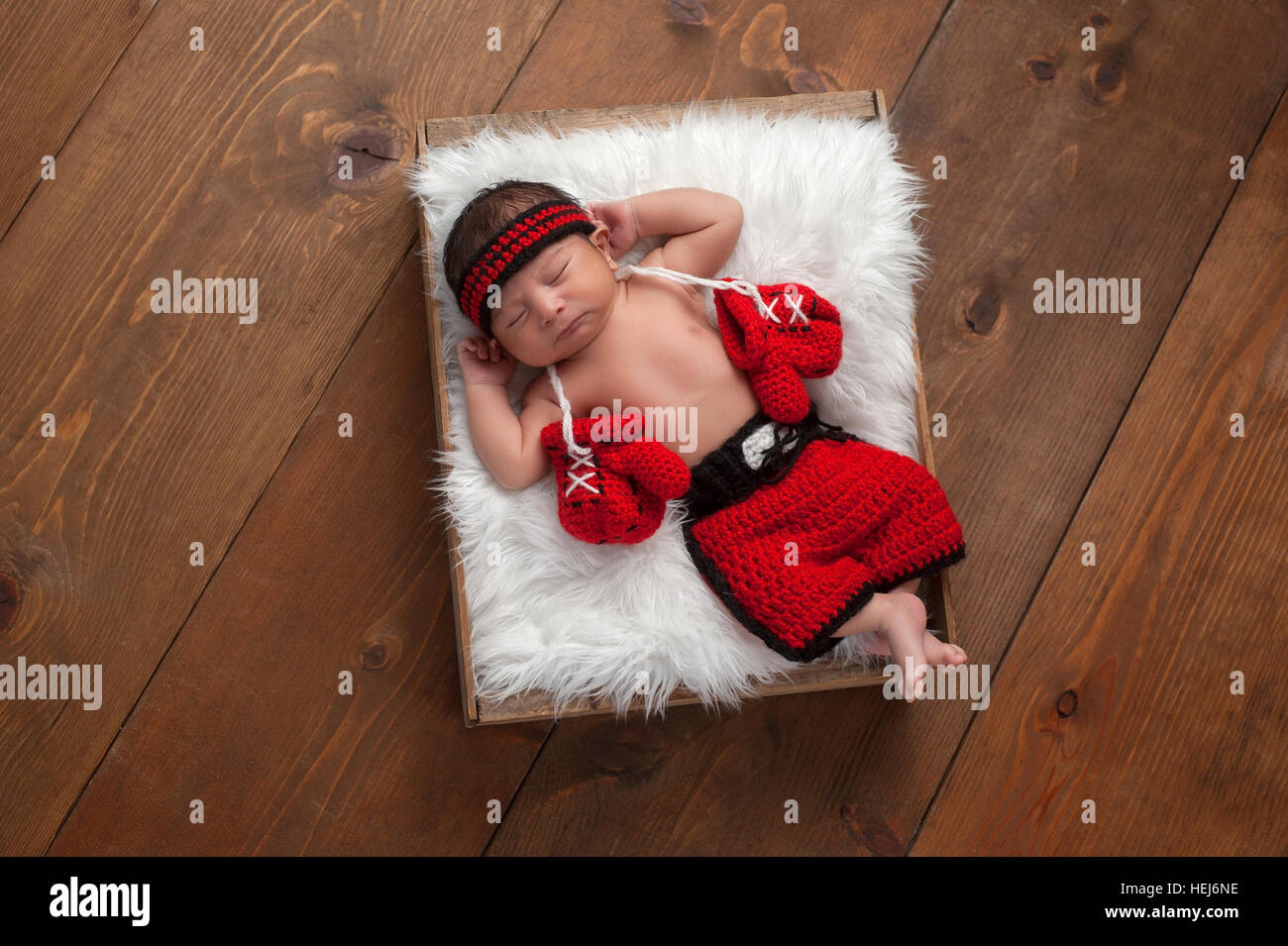 Eleven day old newborn baby boy wearing boxing shorts. He is lying in a wooden crate lined with white, faux fur and has boxing gloves draped around hi Stock Photo
