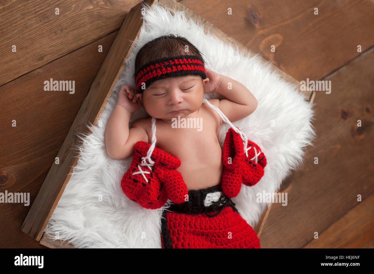 Eleven day old newborn baby boy wearing boxing shorts. He is lying in a wooden crate lined with white, faux fur and has boxing gloves draped around hi Stock Photo