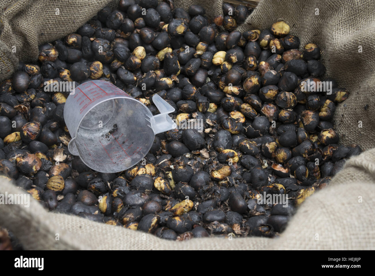 street roast chestnuts roasted on the embers Stock Photo - Alamy