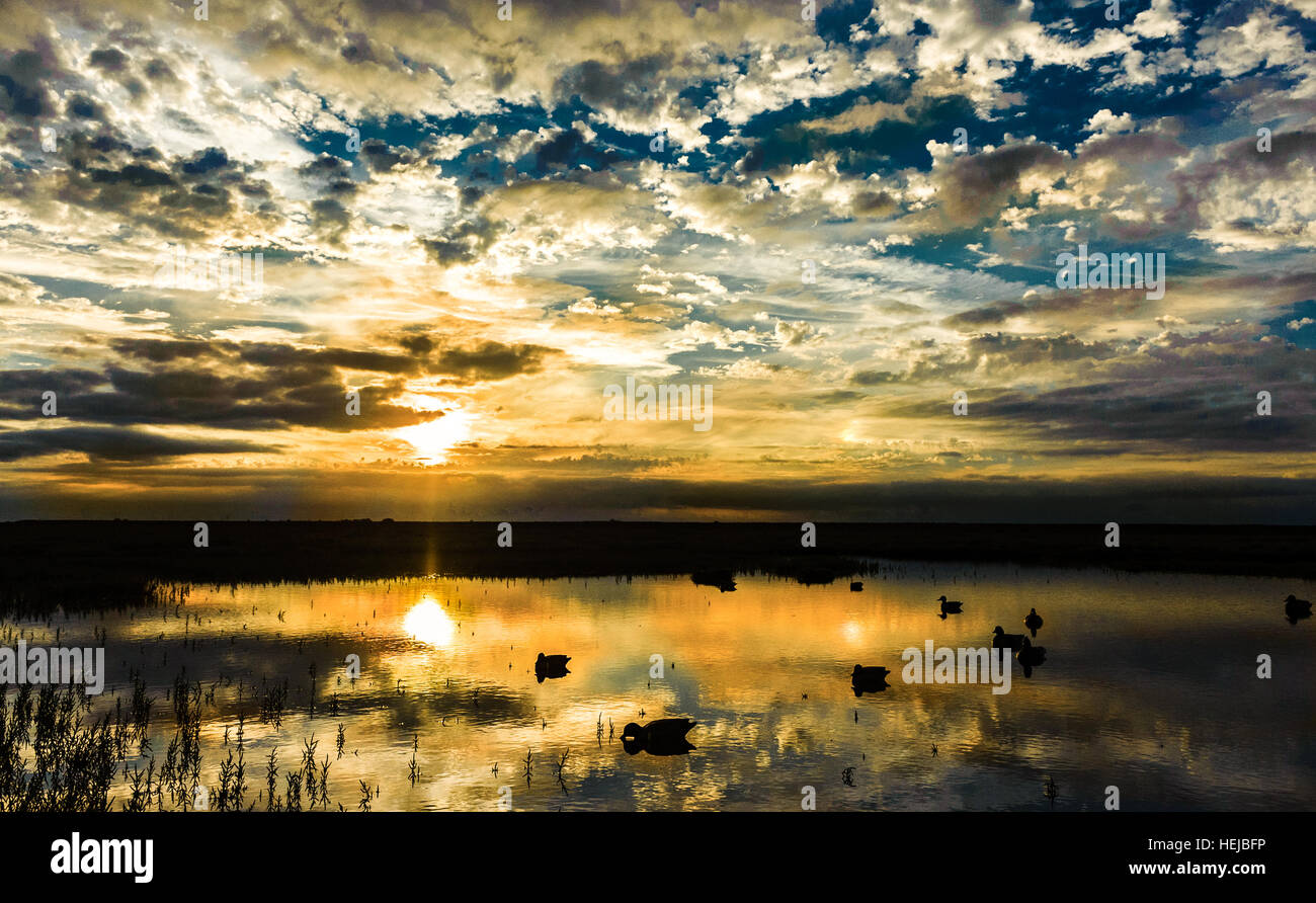 Kirton marsh hires stock photography and images Alamy