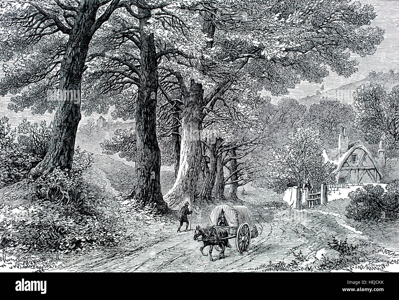 Our English Home, idyllic pastoral country scene with cart on unmade lane, illustration from 1884 Chatterbox weekly children’s paper Stock Photo
