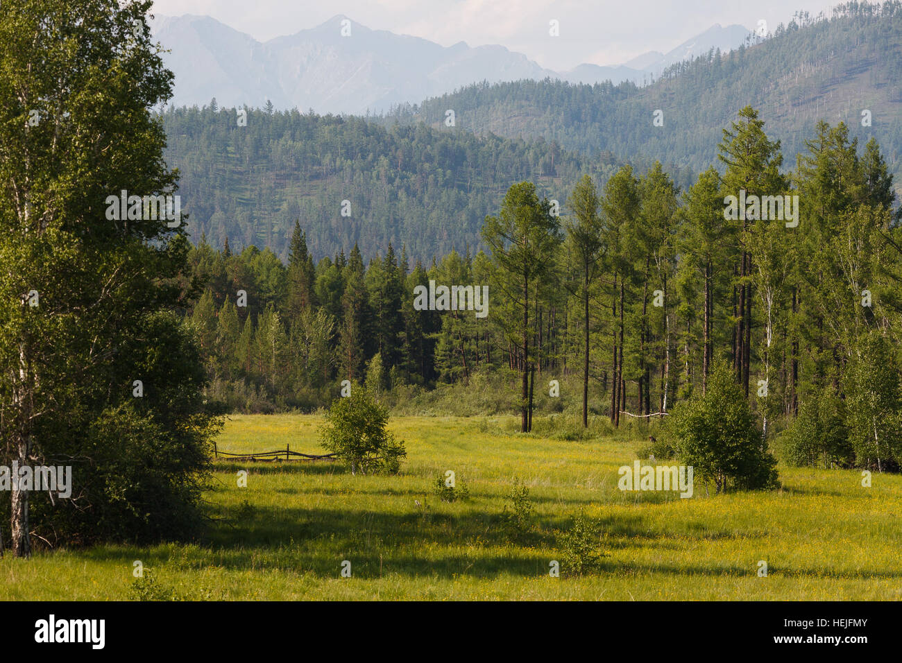 Field, forest and mountains in Tunka valley, Buryatia, Russia Stock Photo