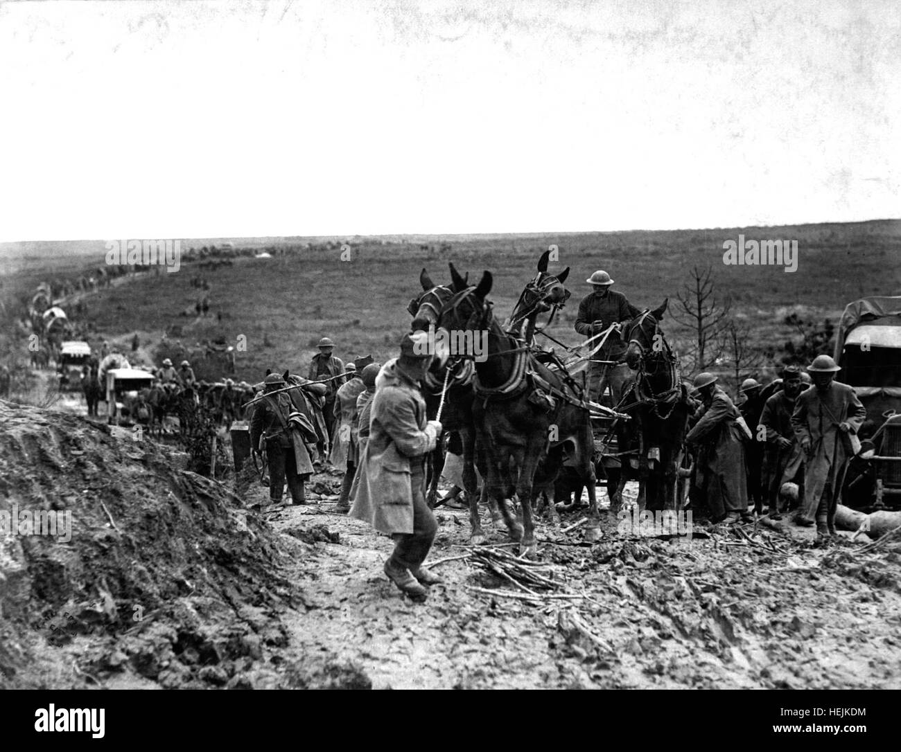 Private Shook trying to move mules hauling an American ammunition wagon stuck in the road, holding up the advance of the whole column.  St. Baussant, east of St. Mihiel, France, September 13, 1918.  Sgt. J. A. Marshall.   (Army) NARA FILE #:  111-SC-20902 WAR & CONFLICT BOOK #:  585 Stuck American ammunition wagon HD-SN-99-02244 Stock Photo