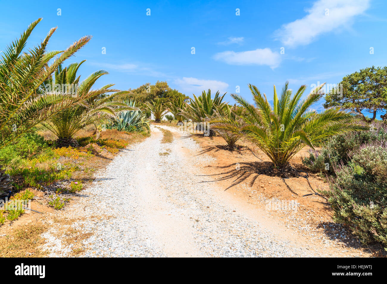 Coastal road along sea in Ampelas village on Paros island, Greece Stock Photo