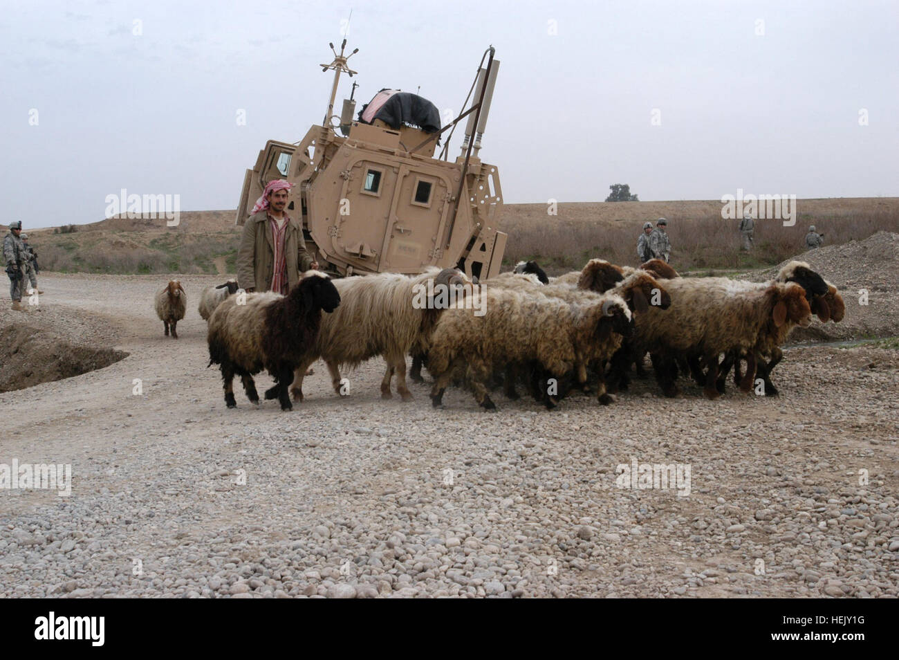 A shepherd walks his flock past a Mine-Resistant, Ambush-Protected truck mired in a sinkhole in Ninewa Province, Jan. 18. The gun truck belongs to Soldiers with 3rd Platoon, 204th Military Police Company, 519th MP Battalion, headquartered in Fort Polk, La. Members of the Q-West quick reaction force for recovering vehicles - manned by C Company, 2nd Battalion, 198th Combined Arms, 155th Brigade Combat Team, out of Oxford and Indianola, Miss. - recovered the vehicle. Mississippi Guardsmen recover vehicles throughout northern Iraq 245587 Stock Photo