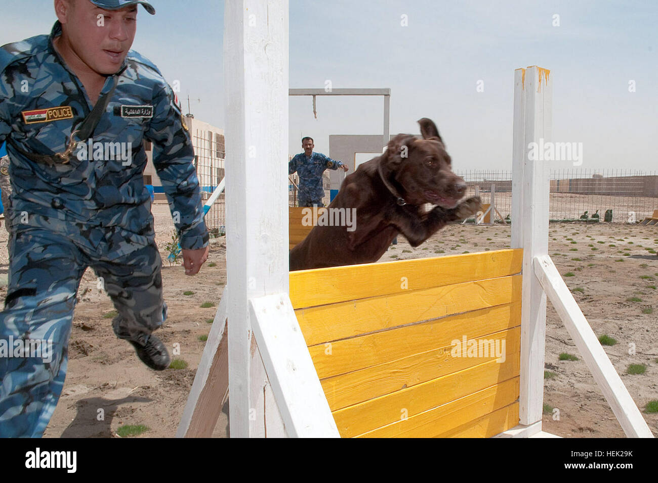 A dog handler with the Iraqi Police Al Anbar K-9 unit in Ramadi, Iraq, runs his dog, Sassy, a chocolate Labrador retriever, through an obstacle course during training April 16. The obstacle course is designed to keep the bomb-sniffing dogs healthy and agile. Anbar Police stand up K-9 unit 272342 Stock Photo