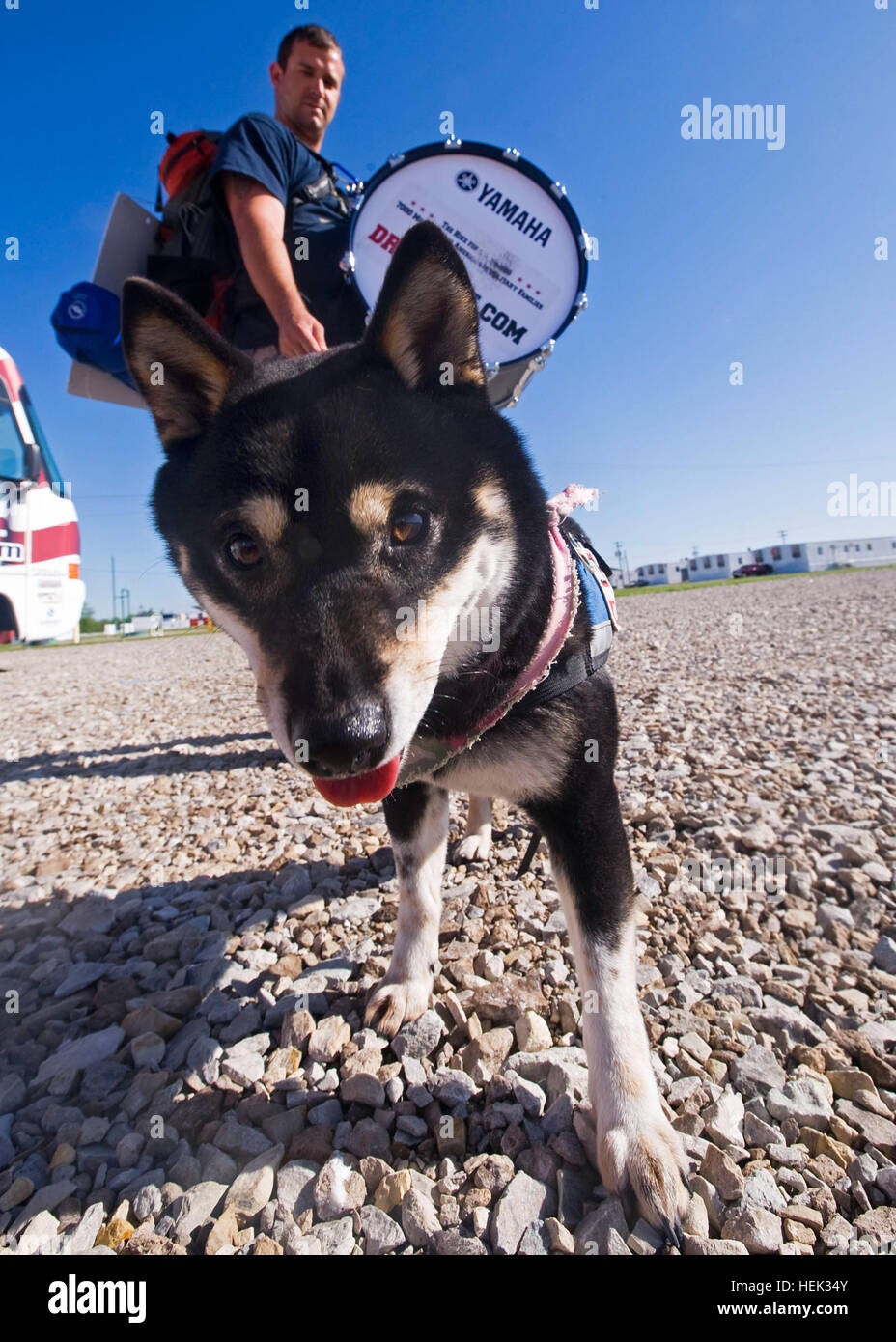 Iraq war veteran Troy Yocum's dog Emmie joins him on his 7,000 mile