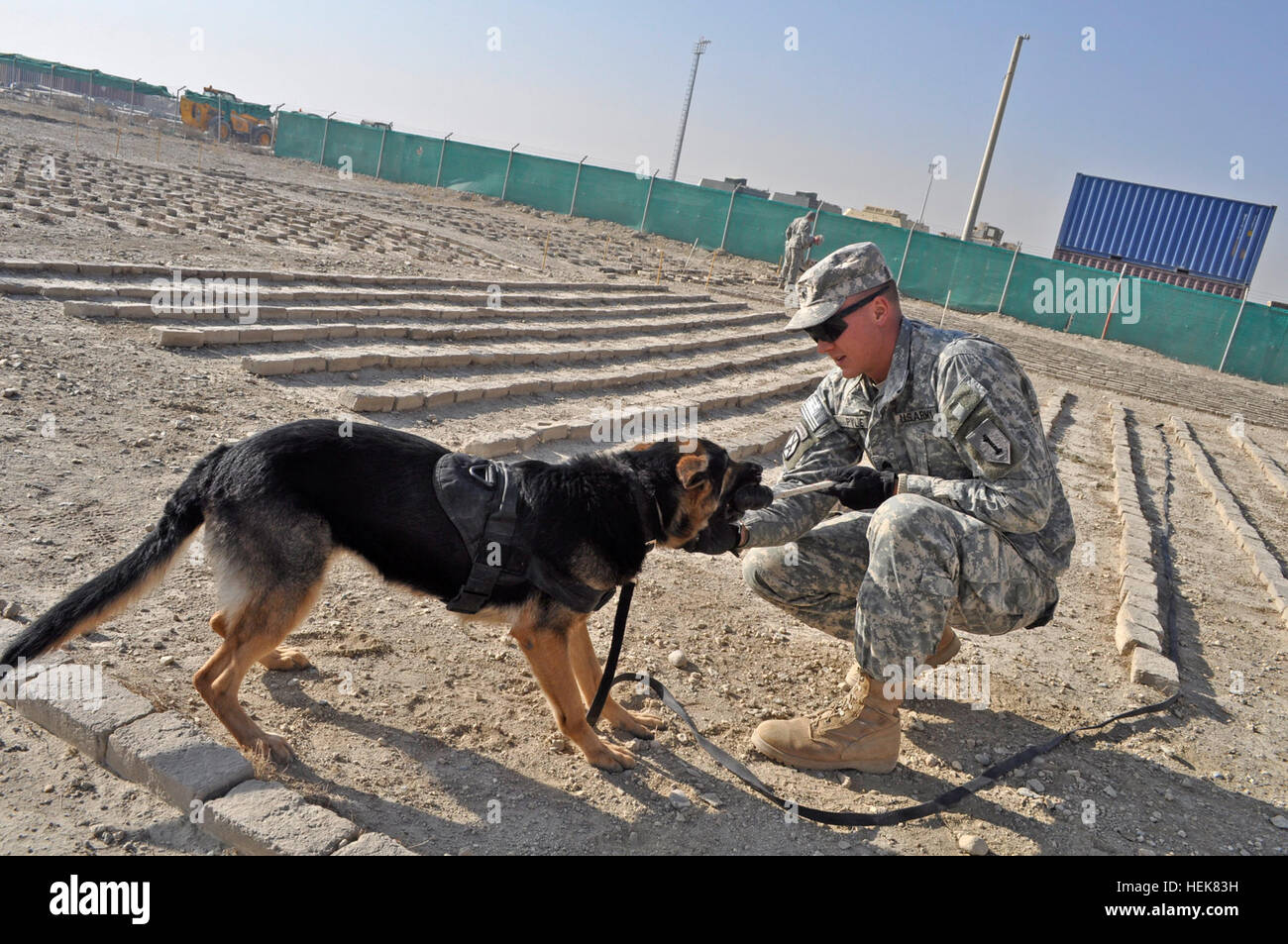 PARWAN PROVINCE, Afghanistan – U.S. Army Sgt. Perry Pyle, a dog handler with 49th Mine Dog Detachment, 54th Engineer Battalion, Task Force Dolch and native of St. Louis, rewards his partner, Finta, with some play time for a job well done on mine-detection training lanes at Bagram Airfield Dec.15. The dogs are tested regularly to ensure they can maintain the high find rates required of mine detection dogs.  (Photo by U.S. Army Sgt. Robert Larson, Task Force Dolch) TF Dolch mine dog teams get ready for action 354208 Stock Photo