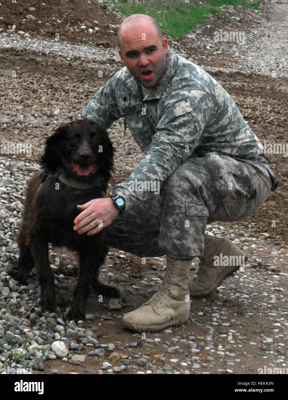 Bryan, a Specialized Search Dog for the U.S. Army and Spc. Chris