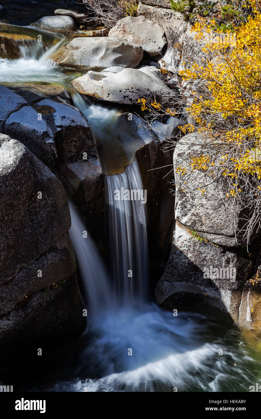 Water flows over a cascade on Leavitt Creek in Mono County, California. Stock Photo