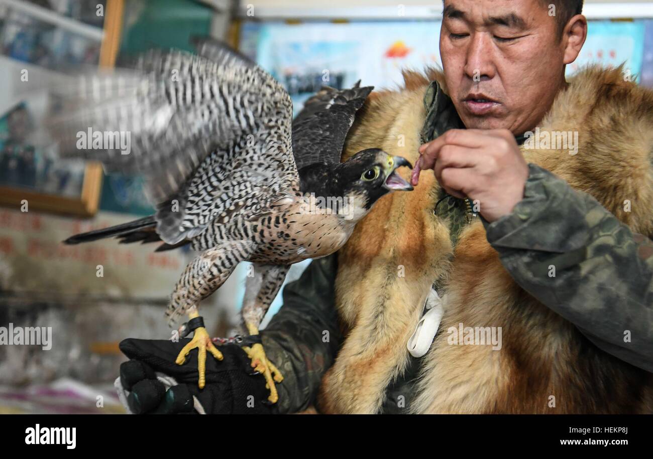 Eagles hunting china hires stock photography and images Alamy