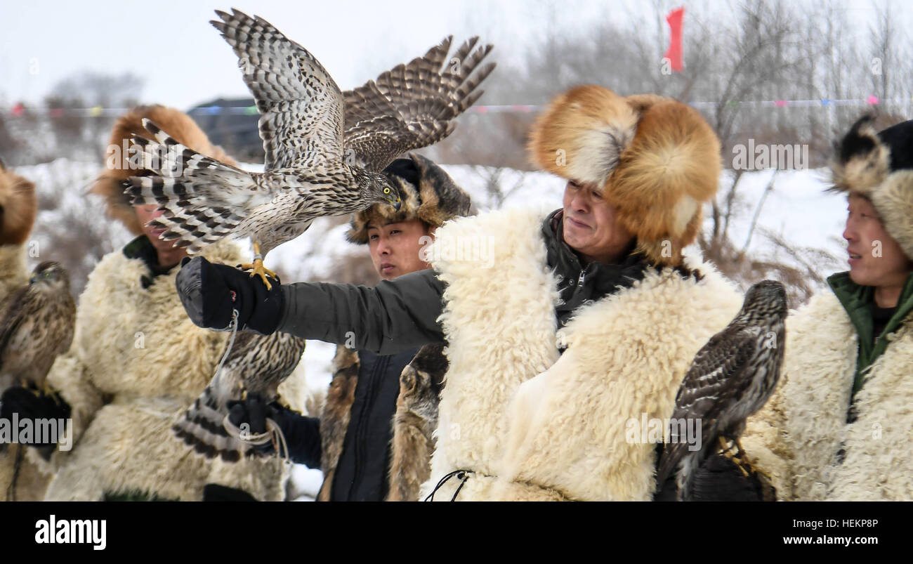 jilin-china-23rd-dec-2016-falconers-show