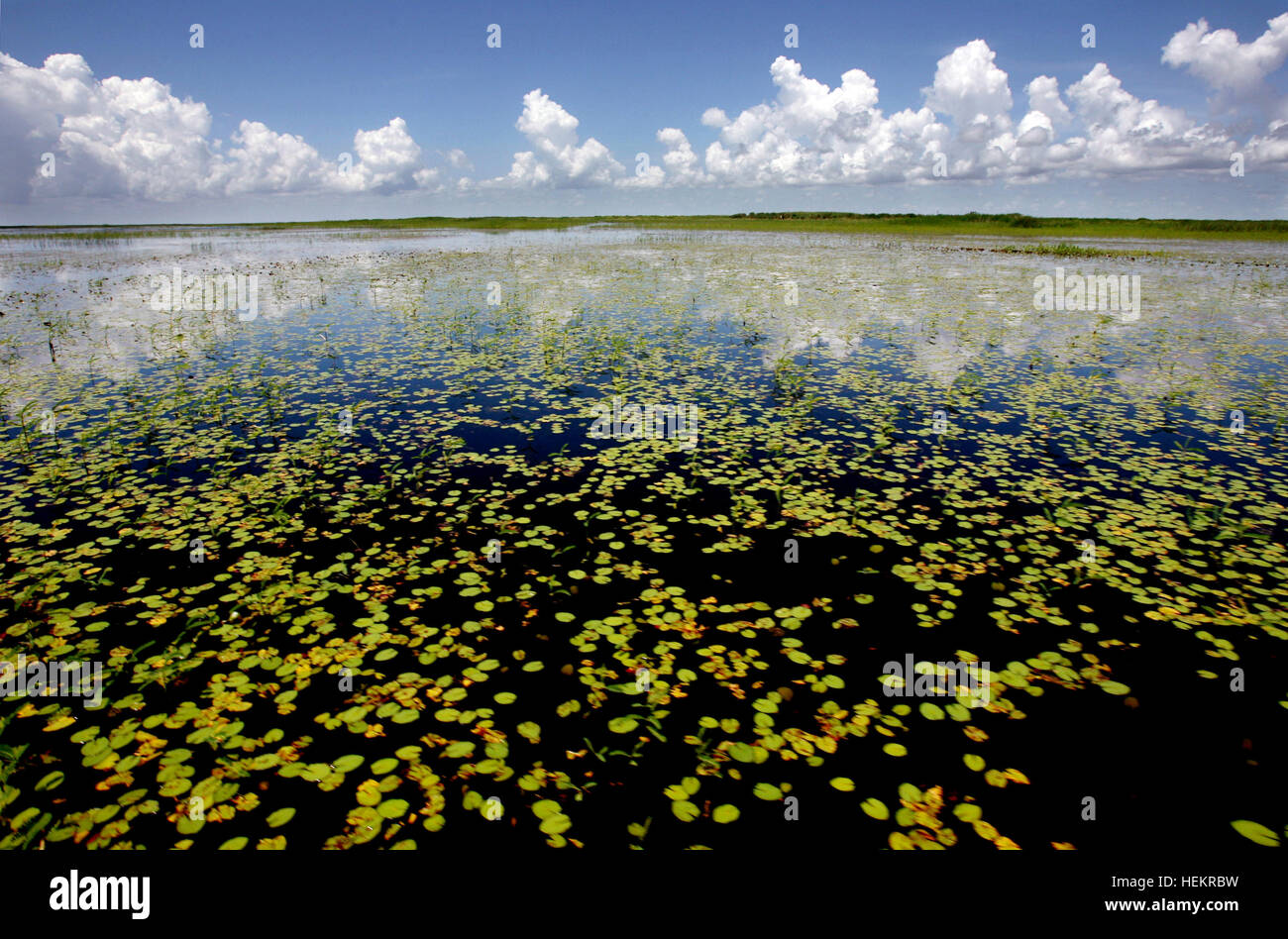 Okeechobee, Florida, USA. 23rd Dec, 2016. 080309 met lakeO 09 Staff