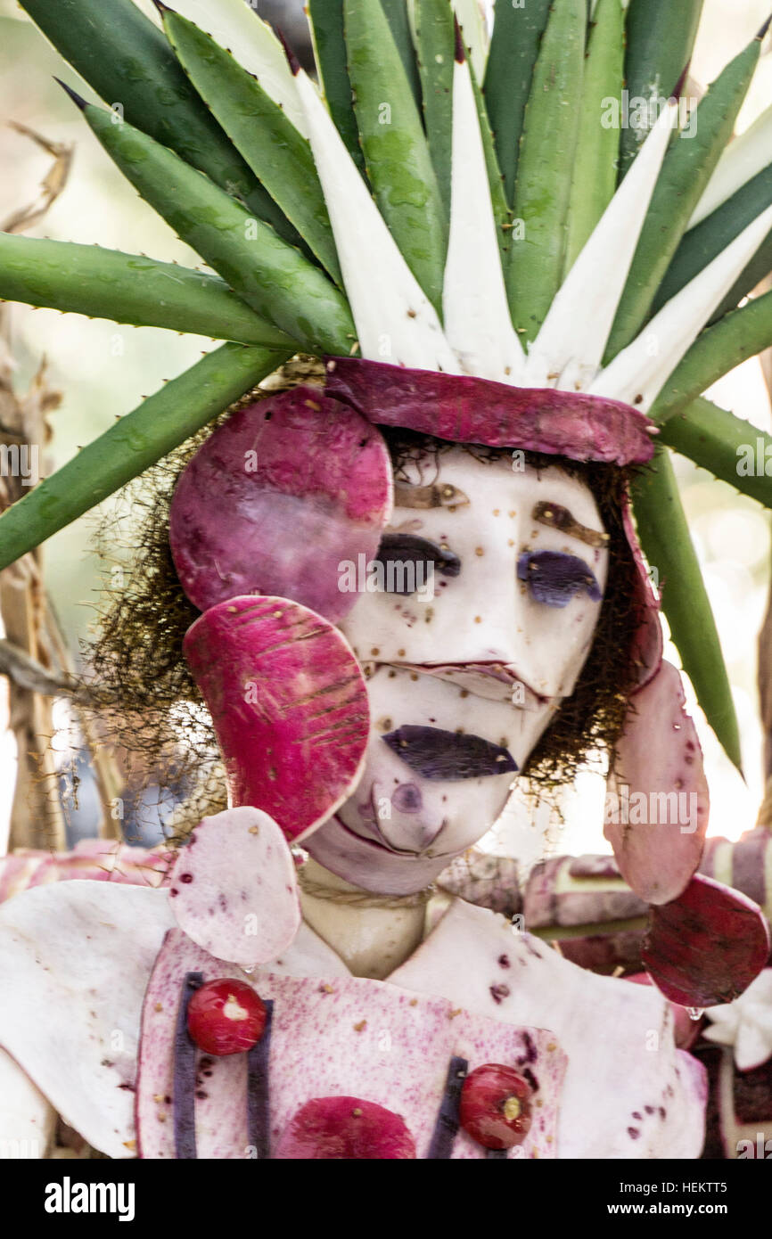 Oaxaca, Mexico. 23rd December, 2016. This year the traditional Radish Festival, Noche de Rabanos, outdoor outdoors spectacle tourist attraction, a delightful one afternoon & night unique popular event celebrating artisanal folk art vegetable sculpture held yearly in the Oaxaca de Juarez Zocalo was expanded to include categories Traditional Radishes, Free Form Radishes, Mixed Media Radishes, Decorated Corn Husks & Everlasting Flowers. This rendition of Cuauhtemoc, the last Aztec Emporer is in the Free Form category © Dorothy Alexander/Alamy Live News Stock Photo