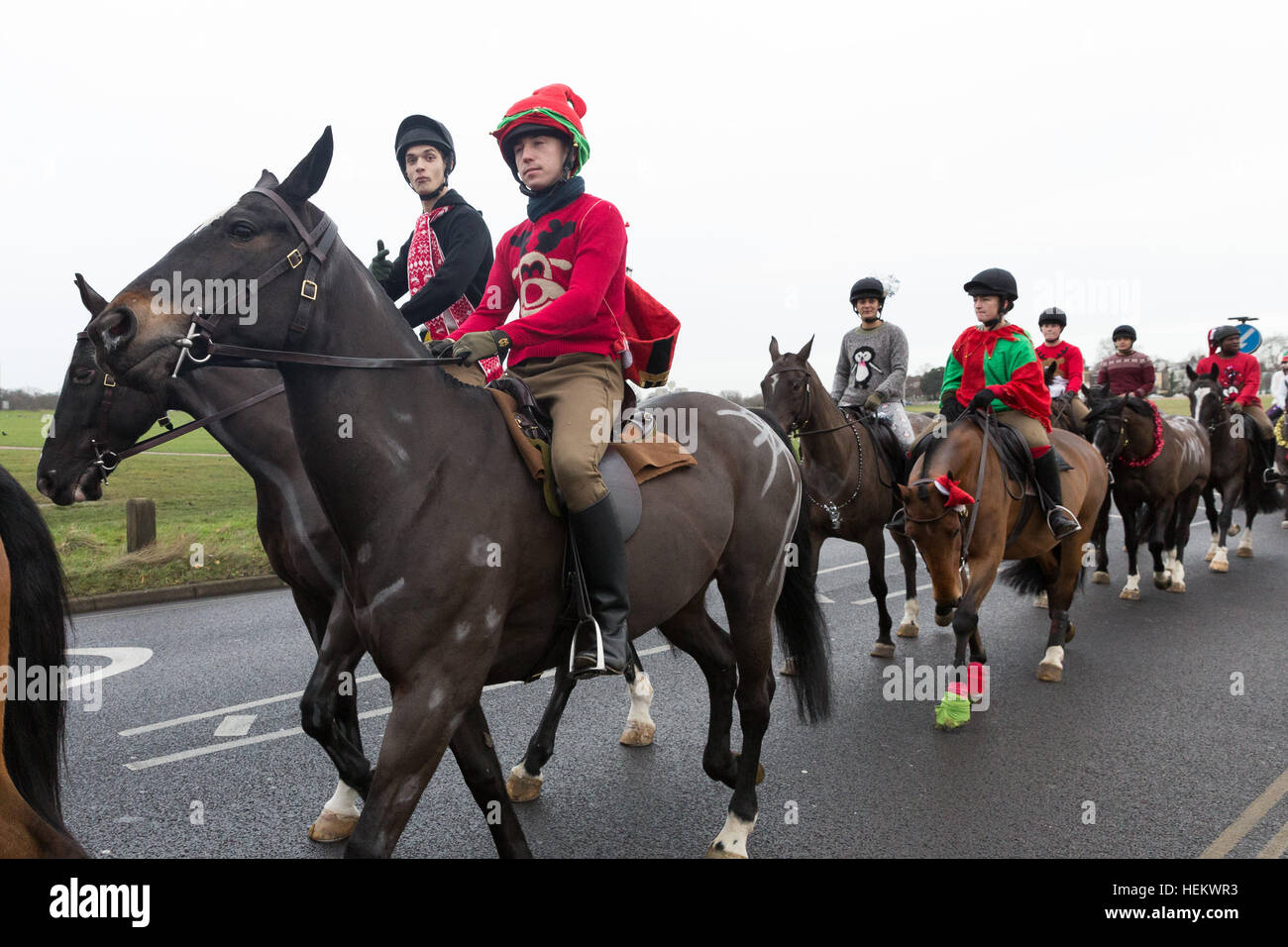 christmas outfits for horses