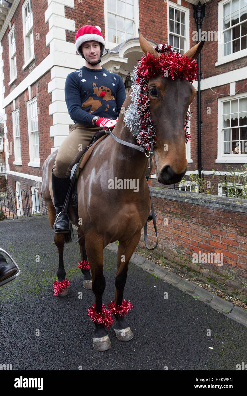 christmas outfits for horses