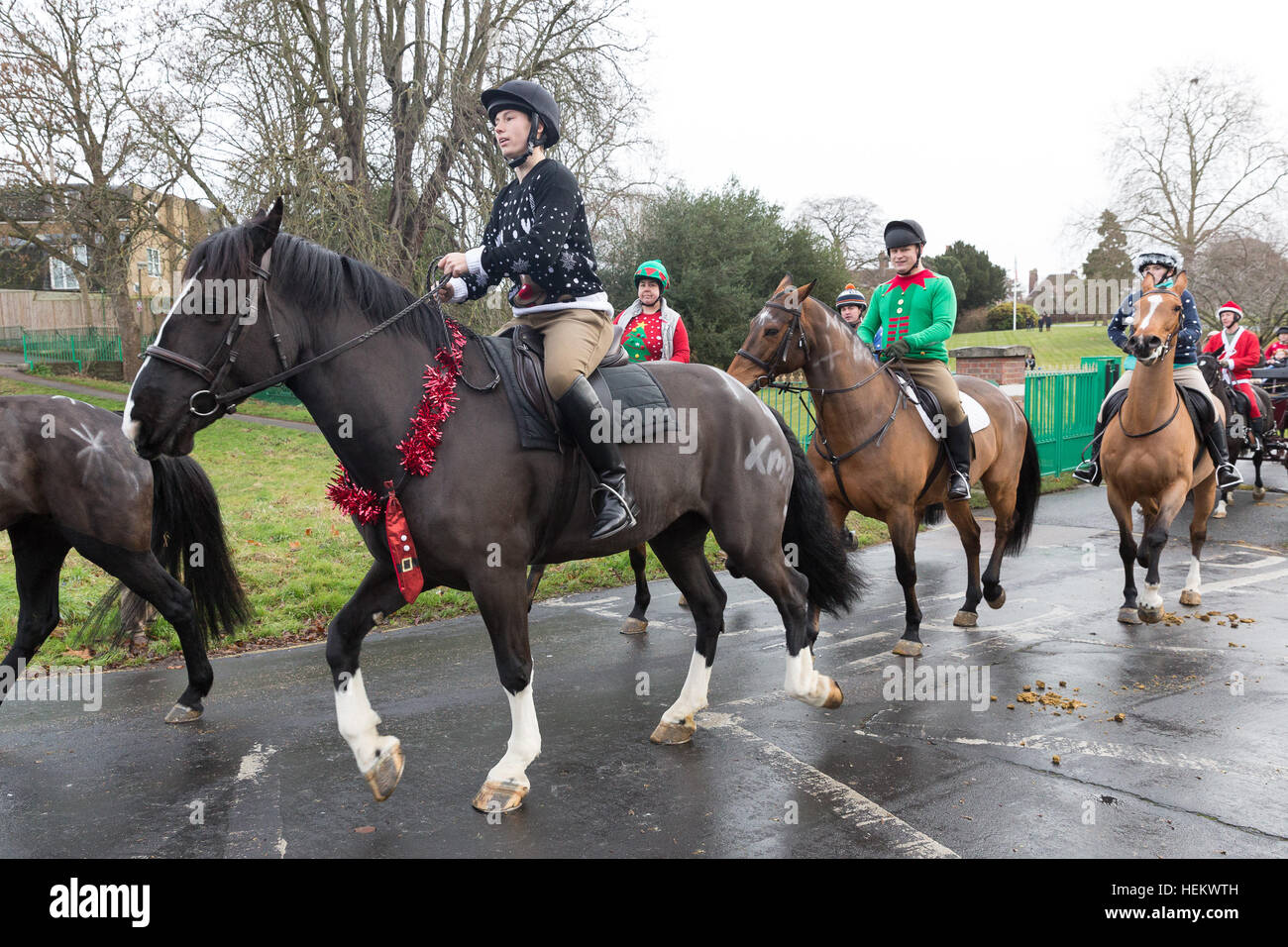 christmas outfits for horses