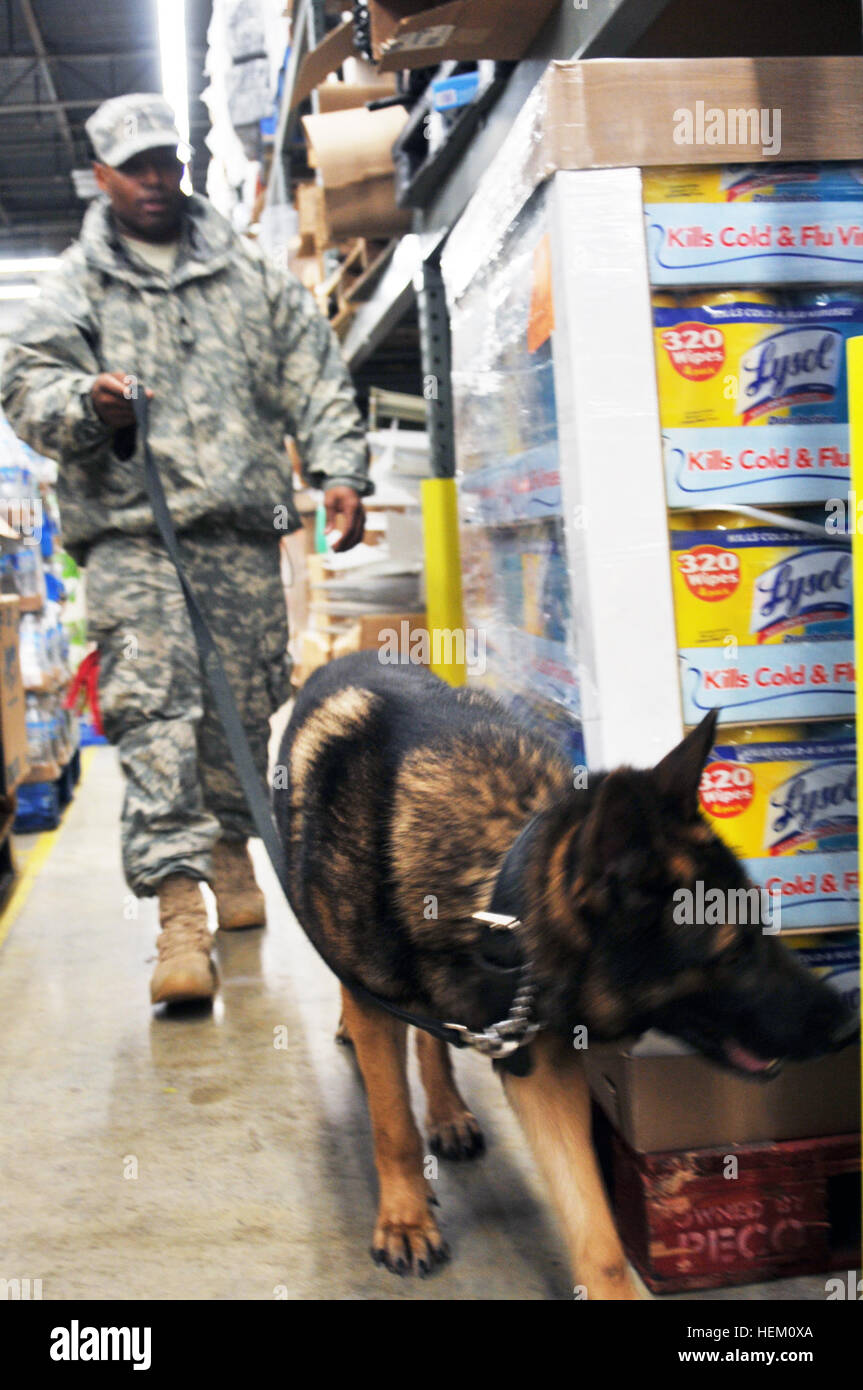 Sgt. Reuben Chisholm, K-9 narcotic detection dog handler, 947th Detachment, 289th Military Police Company, 3rd U.S. Infantry Regiment (The Old Guard), and Jimmy, a three-year-old German shepherd, search beside stacks of groceries for planted narcotics during a training exercise, Dec. 7, at the Joint Base Myer-Henderson Hall, Va. commissary. When not conducting training, the K-9 unit supports missions for the U.S. Secret Service, sister military services and local law enforcement agencies. 289th Military Police K-9 training 496304 Stock Photo